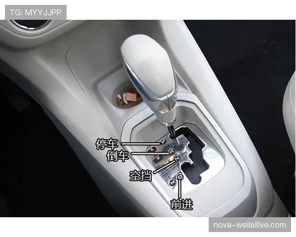 持球五秒违例怎么判?这个规则新手最容易犯错的地方解析