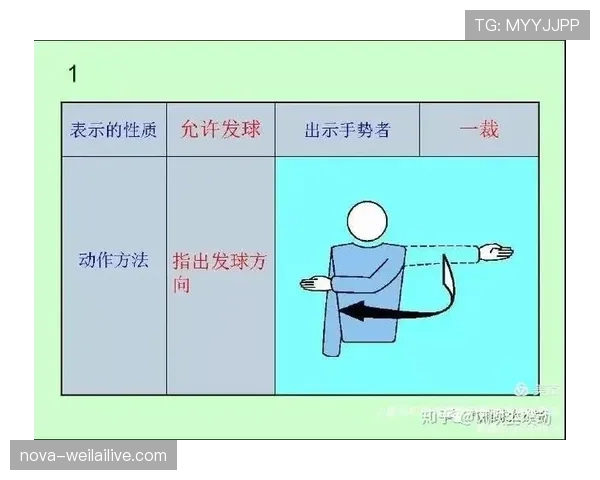 裁判手势图解：每个动作对应的规则判罚含义